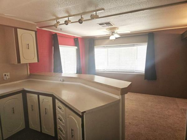 1976 American Manufactured Home