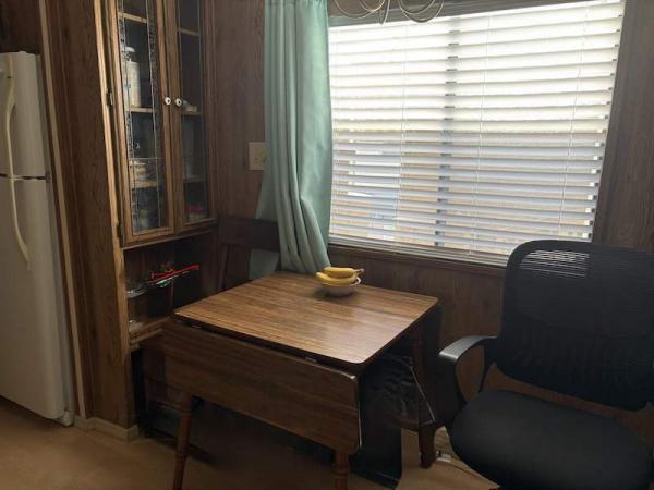 1986 Skyline Manufactured Home