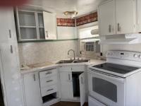 1965 Skyline Manufactured Home