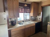 1972 Flamingo Manufactured Home