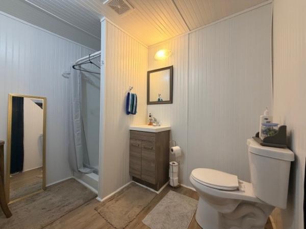 1991 Skyline Manufactured Home