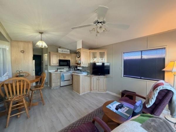 1991 Skyline Manufactured Home