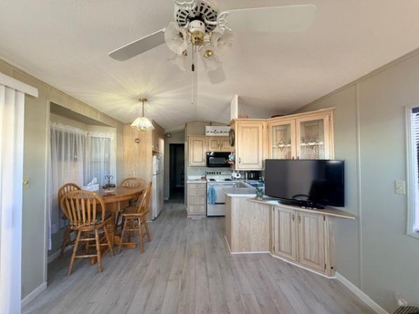 1991 Skyline Manufactured Home