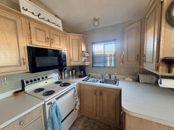 1991 Skyline Manufactured Home