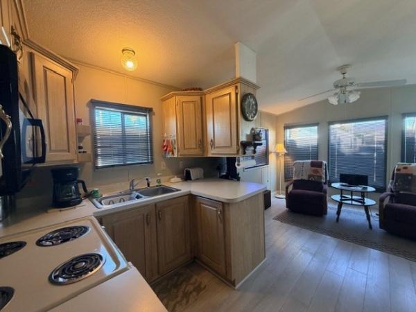 1991 Skyline Manufactured Home