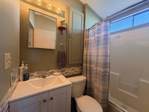 1991 Skyline Manufactured Home