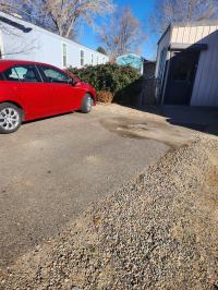 1977 Skyline Mobile Home