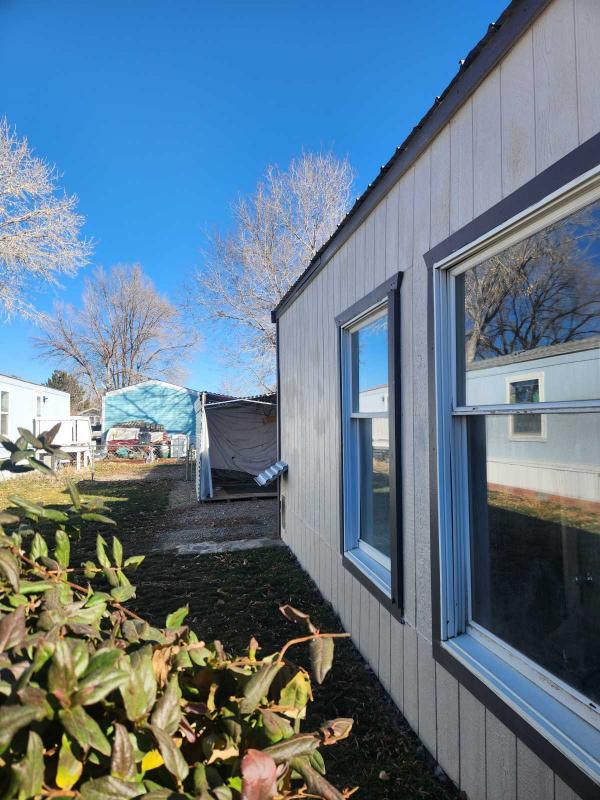 1977 Skyline Mobile Home