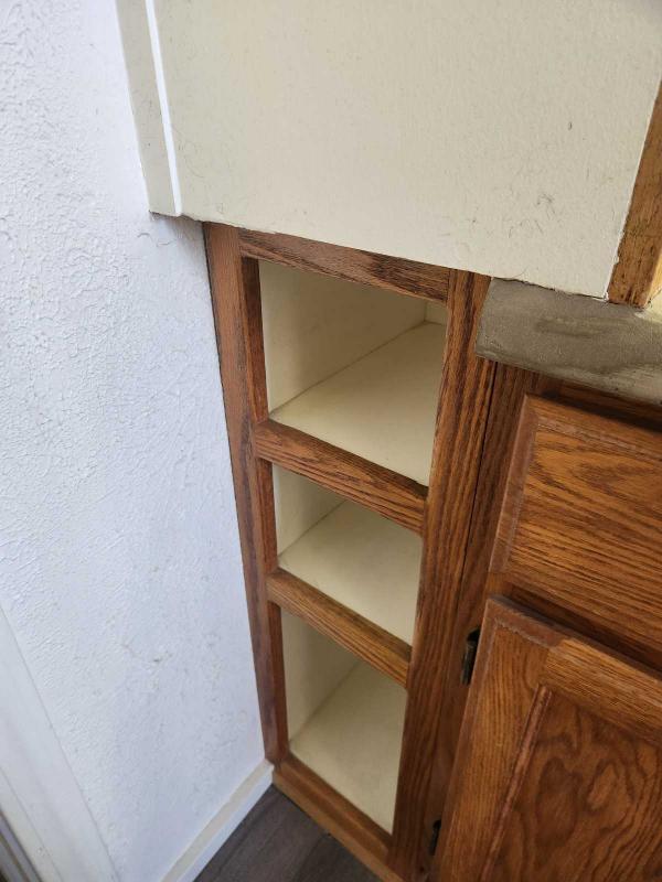 1977 Skyline Mobile Home