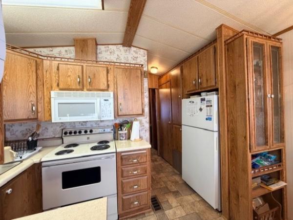1987 Skyline Manufactured Home