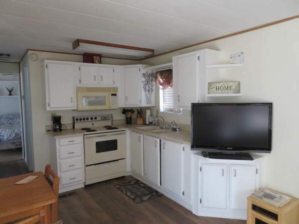 1987 Skyline Manufactured Home