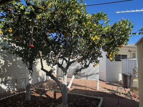 1987 Scottsdale Manufactured Home