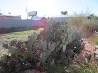 1987 Cavco Manufactured Home