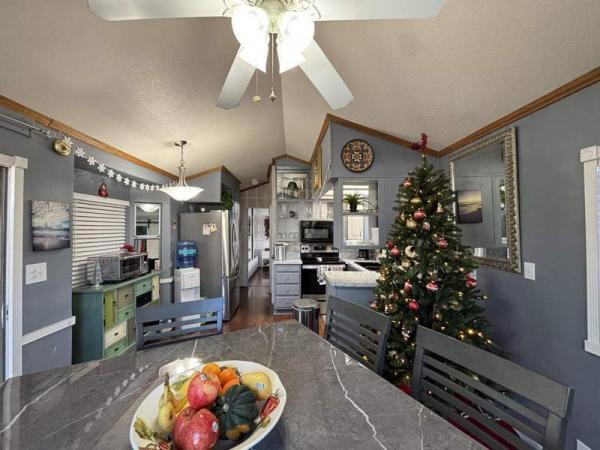 1993 Skyline Manufactured Home