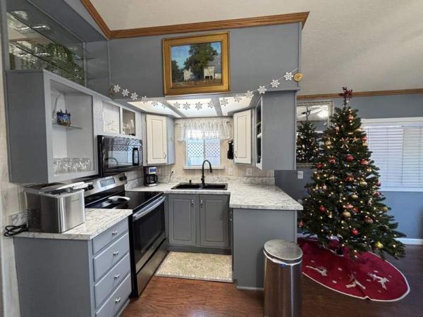 1993 Skyline Manufactured Home