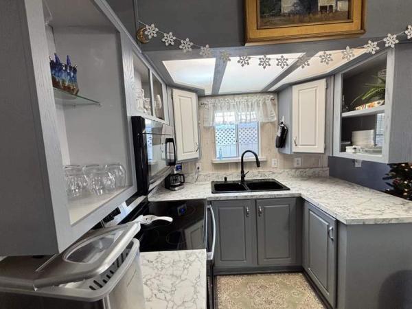 1993 Skyline Manufactured Home