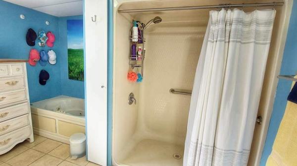 1993 Skyline Manufactured Home