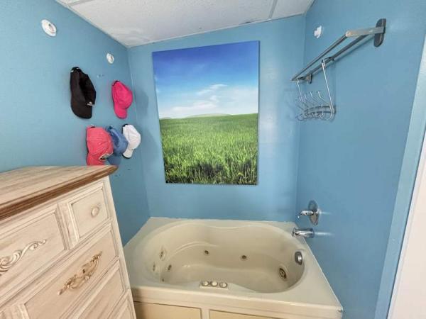 1993 Skyline Manufactured Home