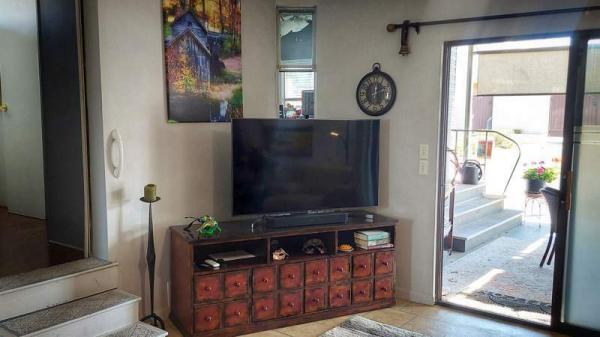 1993 Skyline Manufactured Home