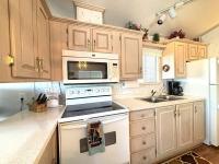 1994 Skyline Manufactured Home