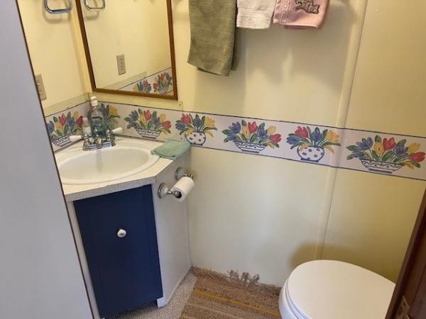 1967 VNDA Manufactured Home