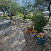 1997 Champion Manufactured Home