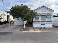 1994 Skyline Manufactured Home