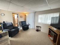 1994 Skyline Manufactured Home