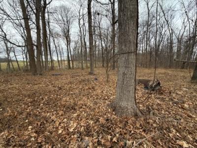 Photo 3 of 4 of home located at 6155 Lane Rd Poseyville, IN 47633