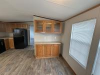 2009 BLUE RIDGE Manufactured Home