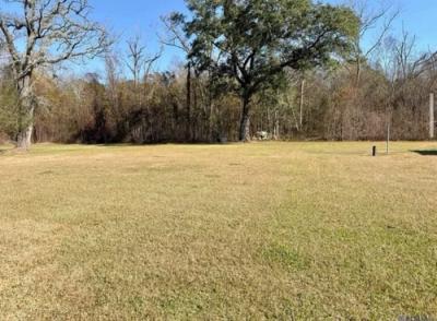 Photo 5 of 26 of home located at 5425 Morris St Carville, LA 70721