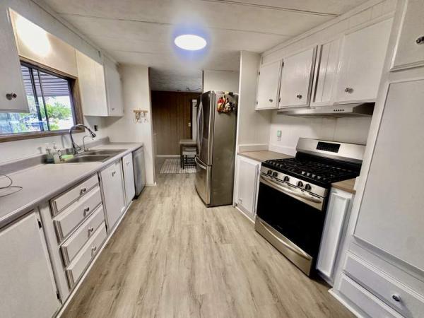 1974 Skyline Manufactured Home