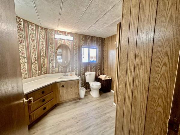 1974 Skyline Manufactured Home