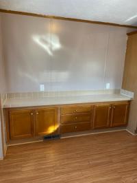 2005 SKYLINE 4911-0333-T  Home