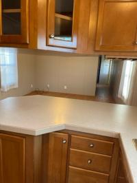 2005 SKYLINE 4911-0333-T  Home