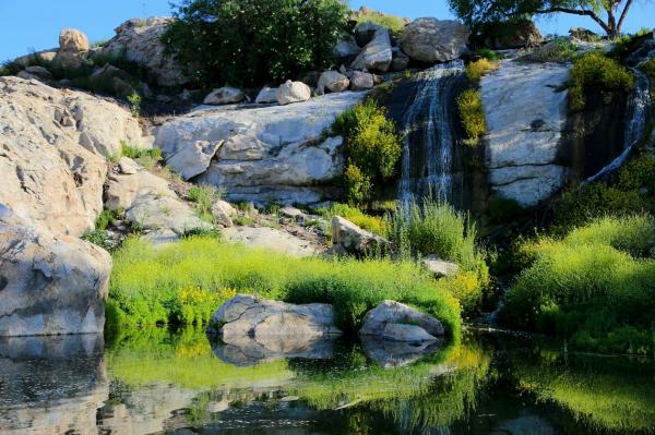 2025 71TPO24442BH25 Mobile Home