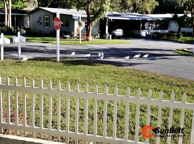 Photo 2 of 45 of home located at 6015 Oakmont Ave Ocala, FL 34472