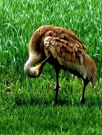 2017 Clayton  Manufactured Home