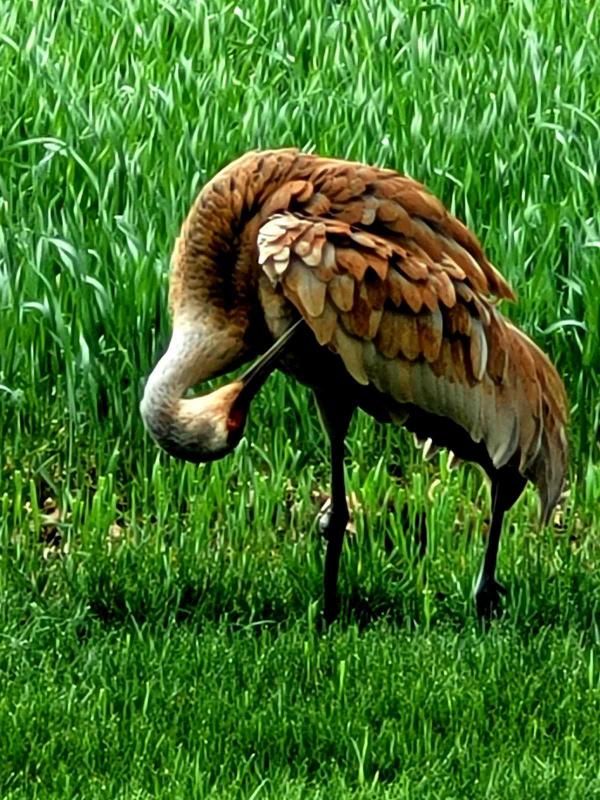 2017 Clayton  Manufactured Home