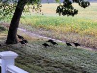 2017 Clayton  Manufactured Home