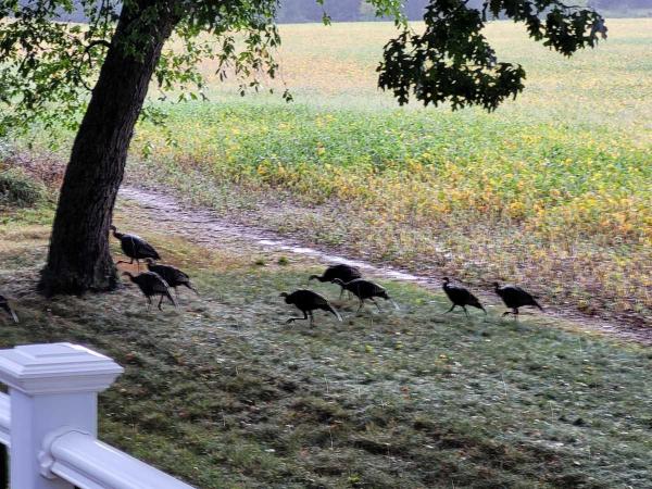 2017 Clayton  Manufactured Home