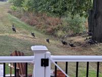 2017 Clayton  Manufactured Home