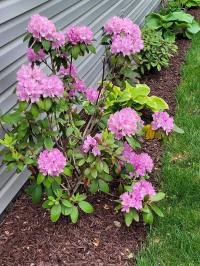 2017 Clayton  Manufactured Home