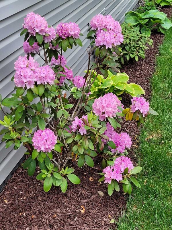 2017 Clayton  Manufactured Home