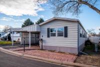 1980 Skyline Manufactured Home