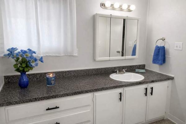 1973 Homes of Merit Manufactured Home