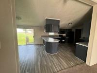 1996 skyline Mobile Home