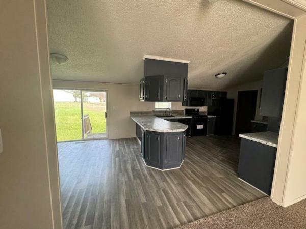 1996 skyline Mobile Home