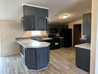 1996 skyline Mobile Home