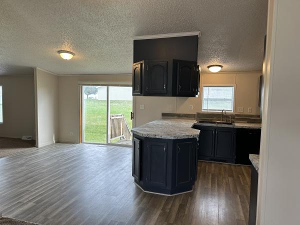 1996 skyline Mobile Home